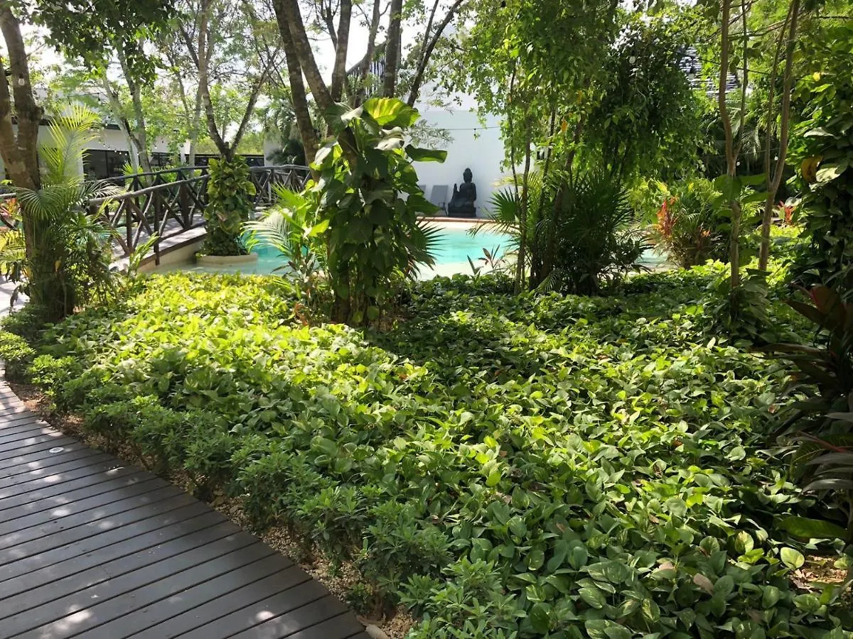 Beautiful Loft With Speed Wifi And Near From Beach Apartment Tulum 0*,