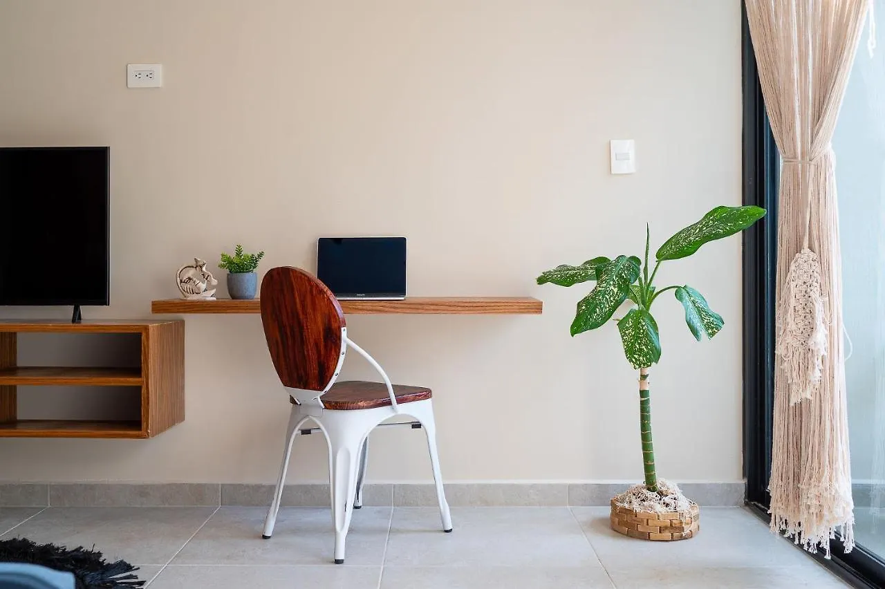 Beautiful Loft With Speed Wifi And Near From Beach Apartment Tulum