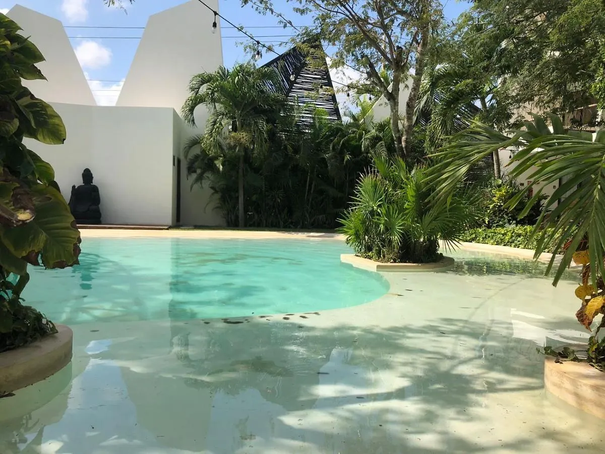 Beautiful Loft With Speed Wifi And Near From Beach Apartment Tulum Mexico